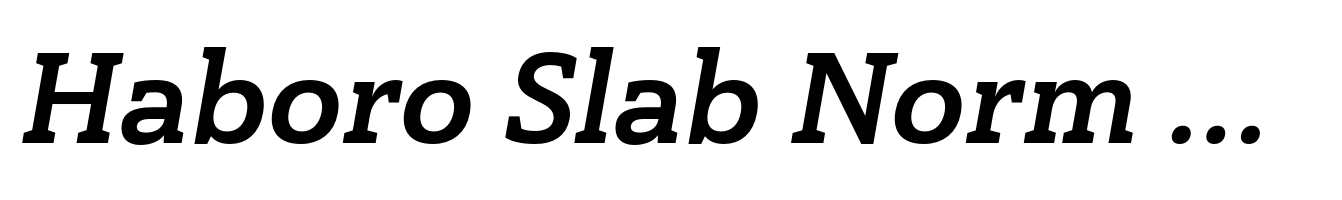 Haboro Slab Norm Ex Bold Italic